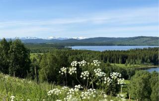 Stunning Home In Nordhallen With Wifi - 6