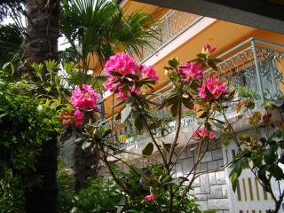 Apartmani Nives - Lovran - 0