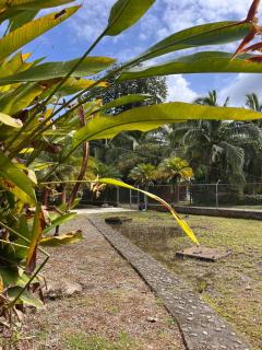 Cabinas Cable Talamanca - 3