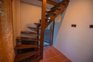 Cinnawild Cabana - 8