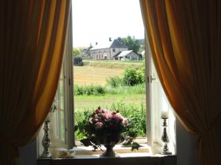 Chateau Des Roises - Bucey-en-Othe - 5