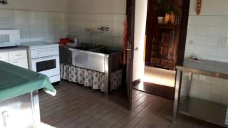 Ferienhaus Birkenhof - 6