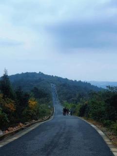 SuzhouJiangNanPalace- Garden-Silk Museum- Butler- Bar -Coffee Lounge-Travel Photo-Petfriendly-Cultural Experience-Traditional Craft Workshop-Luggage Storage-Fish Feeding Activity - 1