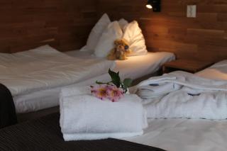 Dalhall Hotell - 9
