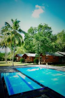 Mastodon River Edge - 3