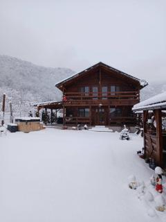 Cabana AndreeaBanica - 9