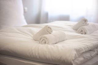 Ferienwohnung in der Weinregion Volkach - 6