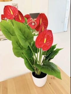 Bonito apartamento junto a playa centro Fuengirola - 4