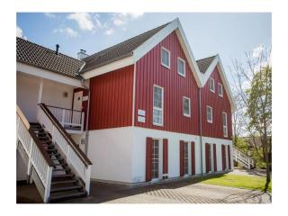 Hellinghus Sauna, Wpool, Fireplace, Dogs welcome - 9