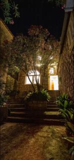Apartments Villa Cardo - 3