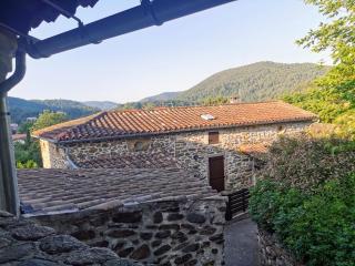 Mes Maisons - Two Gites with Private and Shared pools in Cévennes - 7