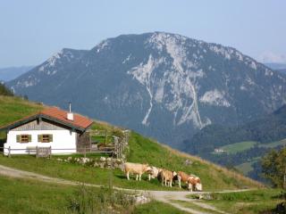 Ferienwohnungen Hollweger inkl. Chiemgaukarte - Ruhpolding - 1