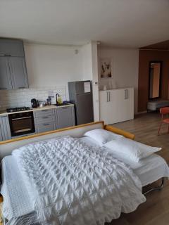 Sika Platinum Premium Apartment- private parking - 5