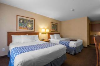 Econo Lodge Inn & Suites University - Calgary - 6