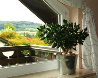 Ferienwohnung Storchenblick - Herbolzheim - 6