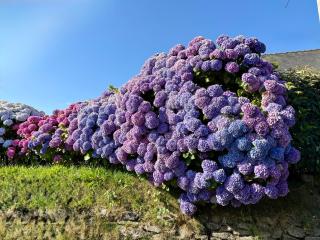 Natursteinhaus in Portsall - 8