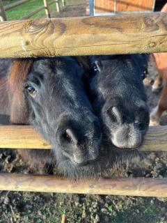 Rancho Catalan 1 - Castillo de Aro - 2