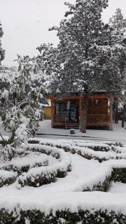 Jardín Las Secuoyas - 2