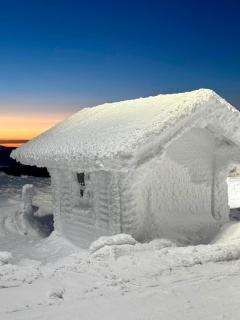 Aurora Pines Studio I Sauna I Terrace I Luxury - 8