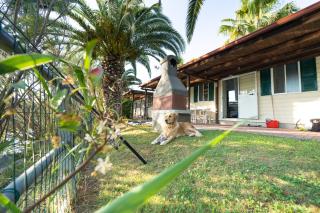 Village Lake Placid - 7