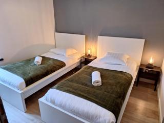 Faubourg des voyageurs 6 - T3 climatisé 4 personnes - proche axe autoroute et gare - 7