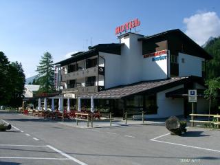 Hotel Davost - Forni di Sopra - 9