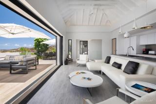 Modern Paradise Villa on the Hills of Grand Cul de Sac - 3