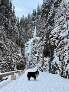 B&B Ciesa la Vèrda - 9