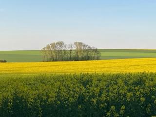Domaine de la Renardière - Gite et Chambre d'hôtes à la Veuve - 6