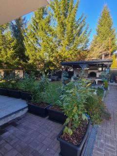 Solaris Zenith View - 4