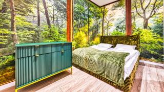 Holiday Mountain Residence, Sun & Snow - 7