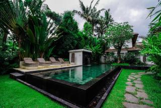 Ricefield Villa w Fast Wi-Fi and Kitchen 3 km from Ubud - 8