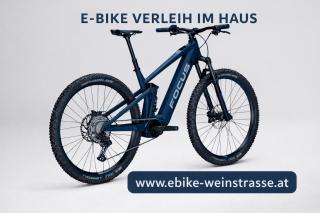 Vinea Living Ehrenhausen - 4