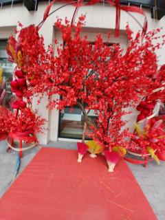 The Sapphire S2 Ha Long - 7