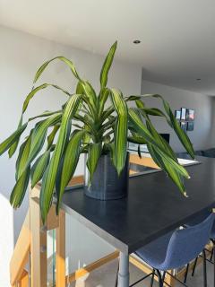 Duplex 70 sqm 5mn from Basel 1 free parking - 8