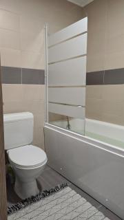 Apartament cozy cu terasa Sibiu - 1