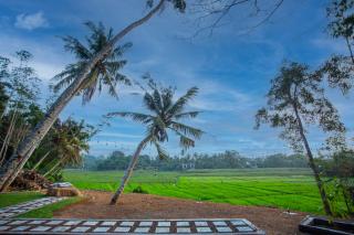 Paddy House Ahangama - 6