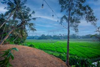 Paddy House Ahangama - 5