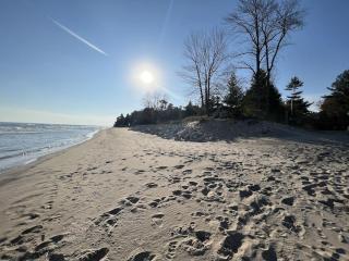 Forest cabin near Kohler Andrae with hot tub - 4