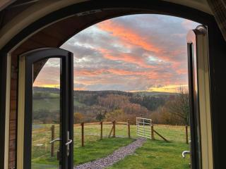 Four Paws Glamping - 1