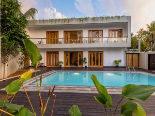 The Silvery Sunt - 7