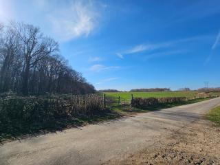Le Clos Simonin - 4