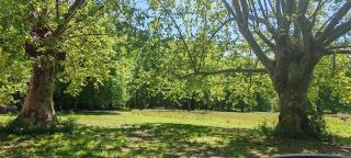 Aux sources de Lesquire - 7