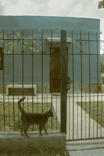 Ave del Paraíso - 1