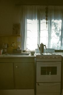 Ave del Paraíso - 2