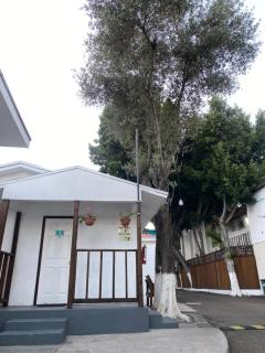 Motel Del Bosque - 2