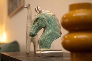 2 bedroom flat in center - 3