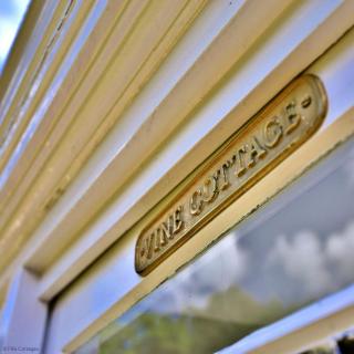 Vine Cottage, 119 South Street, St Andrews, KY16 9UH - 8