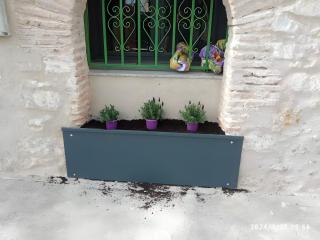 De Brevas A Higos - 4