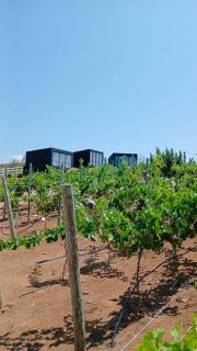 Numa Valle Hotel Boutique - 4